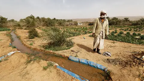 Un agriculteur marchant le long d’un canal d’irrigation dans une palmeraie aride