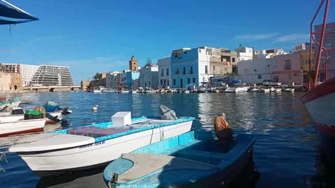 Le vieux port de Bizerte et ses barques amarrées
