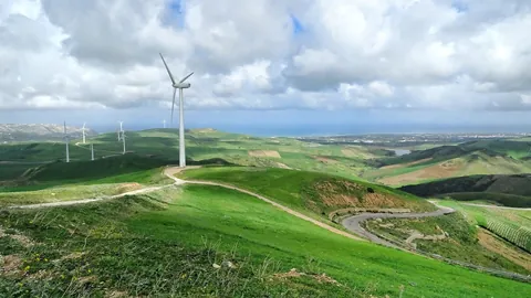Des éoliennes sur les collines verdoyantes d’El Alia, près de Bizerte