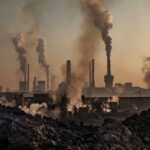 Understanding Carbon and Its Impact on the Environment: How the World Can Tackle This Global Challenge