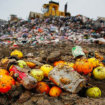 Food Waste and Climate Change: A Complete Guide