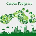 Your Personal Playbook to Combat Climate Change: 5 Easy Steps to Shrink Your Carbon Footprint