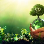 A Step-by-Step Guide: How to Reduce Carbon Emissions in the USA